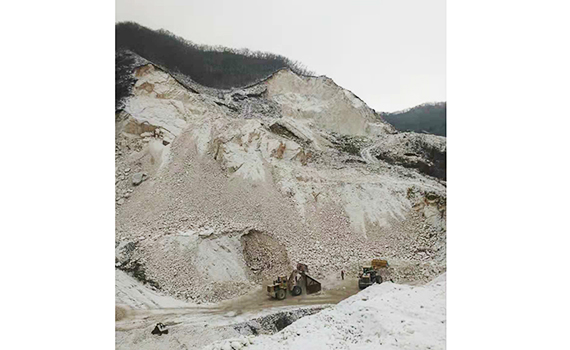 熱烈慶祝鞍山東盛源礦業(yè)有限公司網(wǎng)站正式成立！