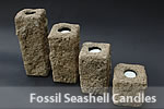 Fossil Seashell Candles