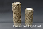 Fossil Tealight Set